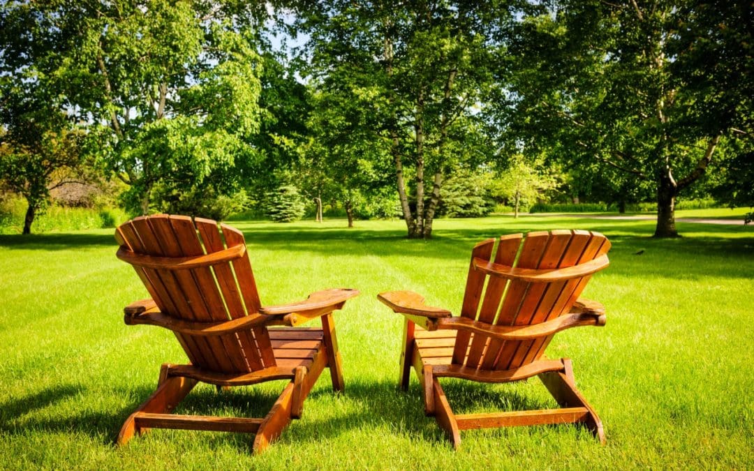 Caring for Trees in the Summer