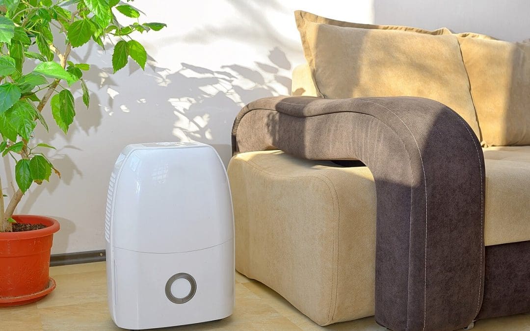 5 Common Health Concerns in a Home