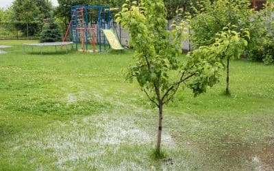 7 Tips to Improve Drainage on Your Property