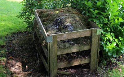 Composting at Home: Turning Scraps into Garden Gold
